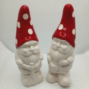 Gnome Salt & Pepper shaker set
